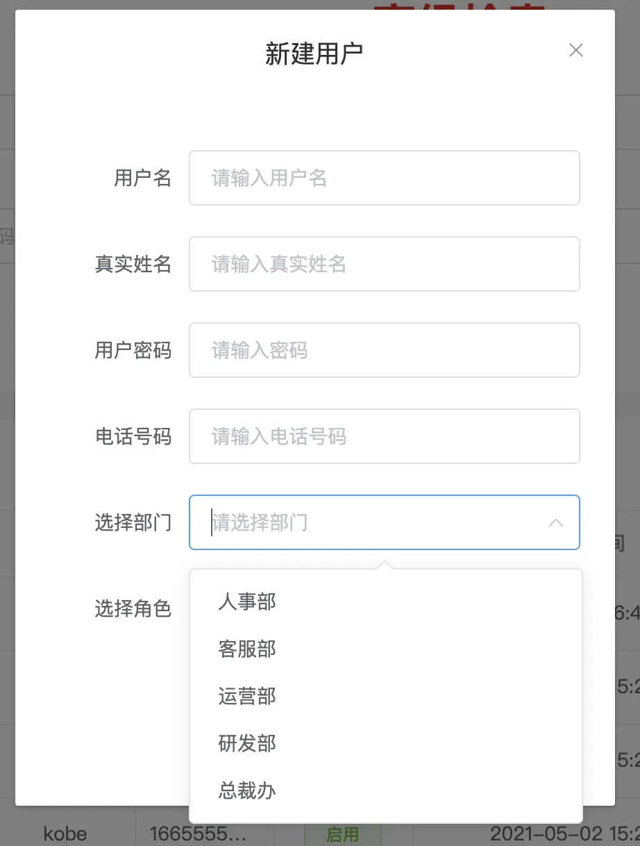 项目预览